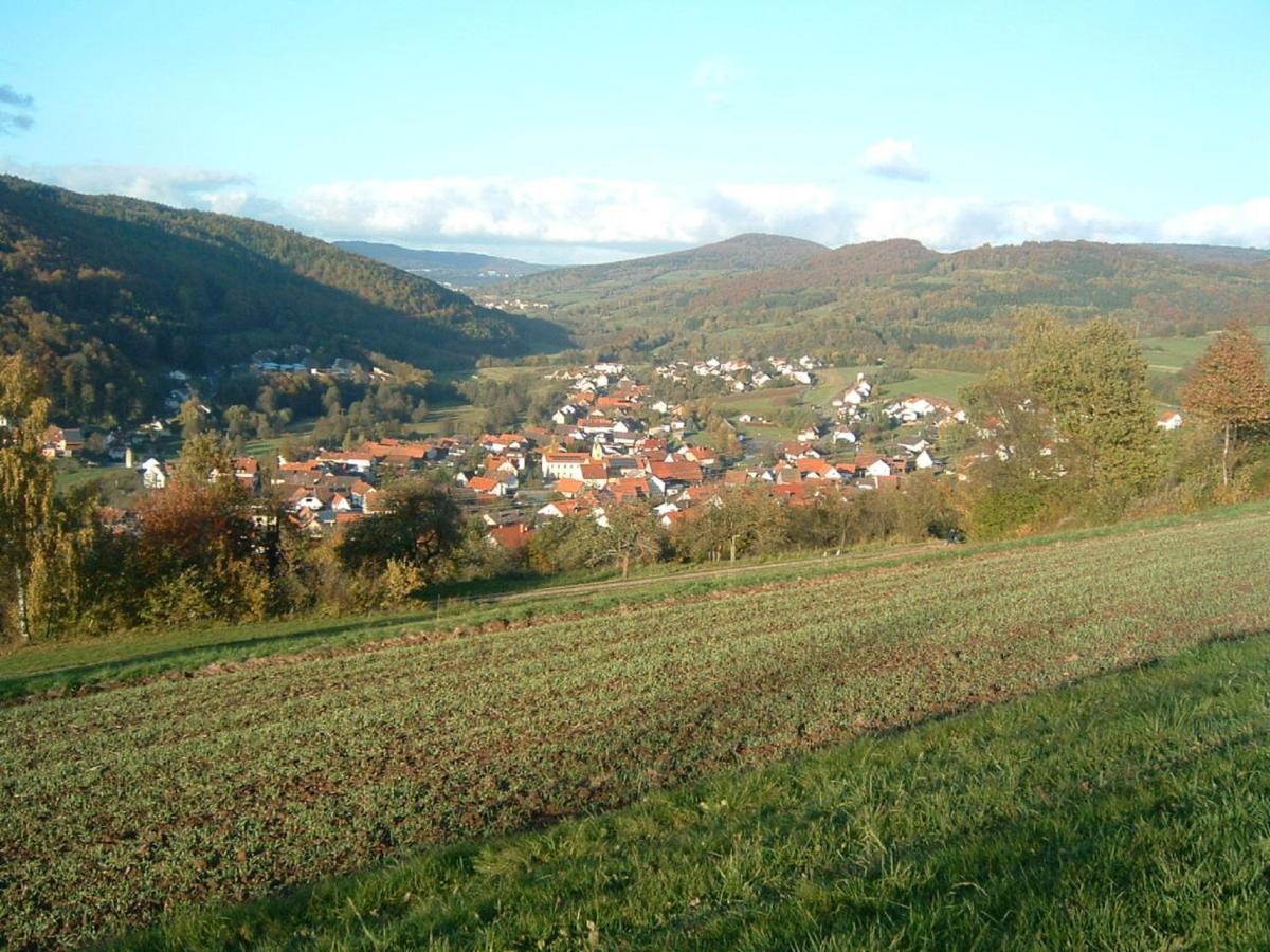 Ferienwohnung Hergenroeder Riedenberg  Buitenkant foto